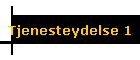 Tjenesteydelse 1